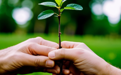 Building a Foundation for Spiritual Growth in Christian Sober Living