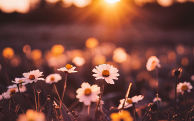 Finding Hope and Renewal: The Power of Christian Aftercare