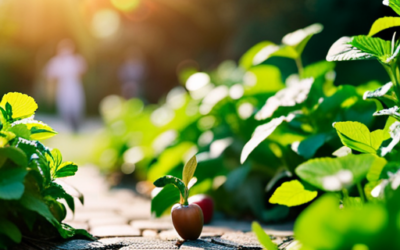Healing from Within: The Power of Balanced Nutrition in Faith-Based Recovery