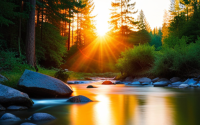 The Transformative Role of Forgiveness in Spiritual Healing